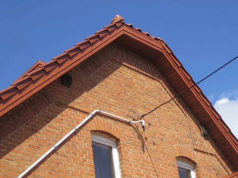 Długosze: zdjęcie 35
