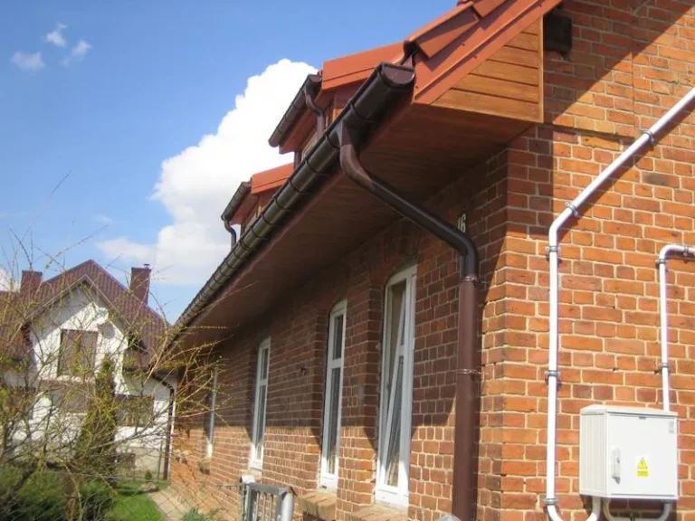 Długosze: zdjęcie 38